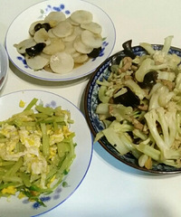 ��Ҳ������