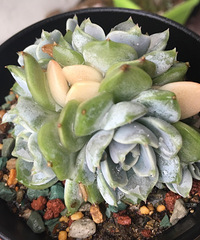 ɹ���Ҽҵ�����