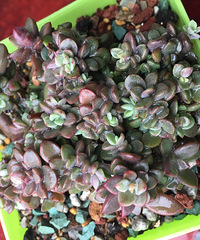 ɹ���Ҽҵ�����