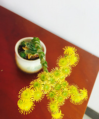 ������Ű