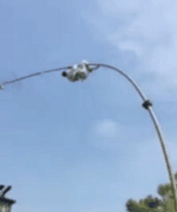 �������߿����Ӽ� �շ��˸������ͻȻ����