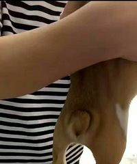 �ֻ��ͼ۳��������ſ���