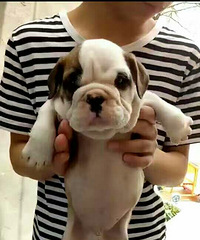 �ֻ��ͼ۳��������ſ���