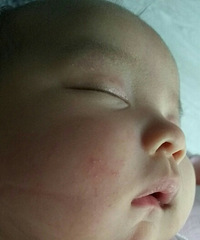 50�챦������ʪ��