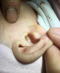 ��ҽ�������ѵ�Ů�������������������ô��