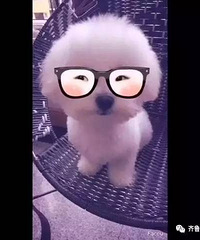 ��Щ�������������ֵ�"������"�Ҿ磡