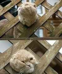 ��Щ����ס�Ķ����ǣ������ֺ�Ц�����һ�������Է�ɧ��Щ