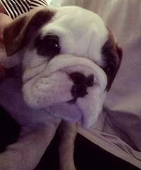 ���ӻ�����ѣ��ͼ�����