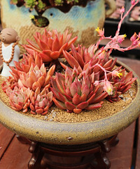 ����桪���㻭�Ҳ�