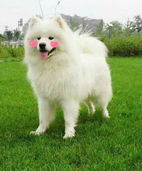 ��Ħ�������Ϲ���