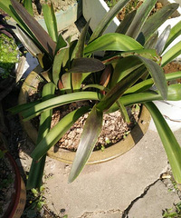 ����ҵĻ���