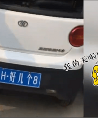 ���֣���ţ���ƣ���³H�ü���8��