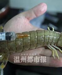 ���Ե�Ϻ��������û��ע�����������ʵ�飬���ȫ��