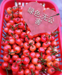 "农家绿色樱桃"