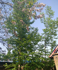 �������������