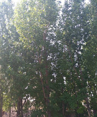 �������������