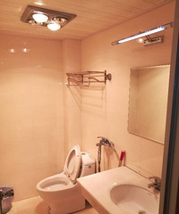 �����´嶫����װ����