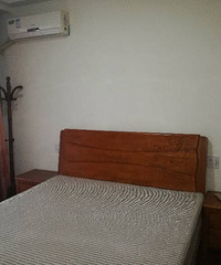 �����´嶫����װ����