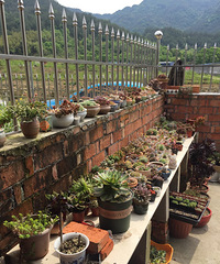 ���¿���չ