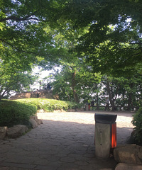 宝石山写生活动