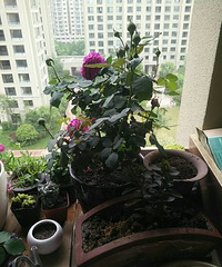 һ����ɶ��û�ɶ�����������