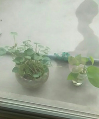 û�¸ɣ����ſ�������