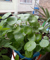 ������������