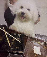 ����һ���޹�������