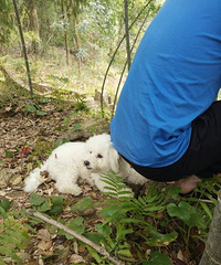 ����һ���޹�������