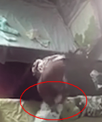 �����̣�Ů������ķ������˦��˦ȥ...