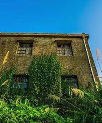 520����������������,ת������ta