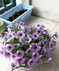 19¥�����Ļ���лл¥�Ѹ