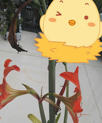 �춥�쿪���������û�����