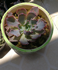 �յ��ҵ������ǣ�������̨������