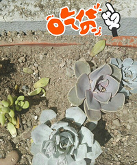 �ɶ����������������ö���