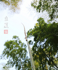立夏游天目,登顶仙人顶