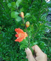 ����ʲô��