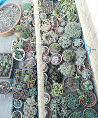 ����Ҫ��������ת������ˣ�