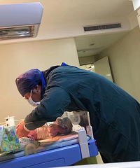 【2017生产日记】娃啊还欠你娘一顿羊蝎子!