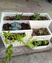 ���ͳɳ��I(^��^)�J