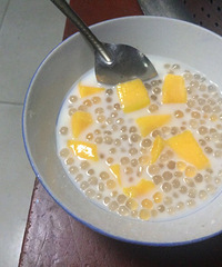 ����â������¶ �����϶�