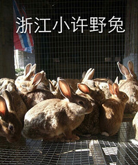 Ұ�� Ұ�� Ұ��