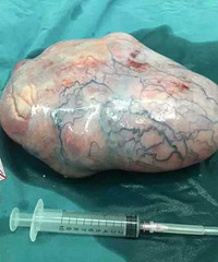 12����Ů�����7���²���˵