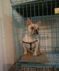 ��Ʒ���͹�