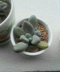 ��������ʲô