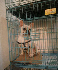 ��Ʒ���͹���������