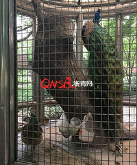 ����һС��������ֻƯ���Ŀ�ȸ һ�������ھͳ�������˯���ž���