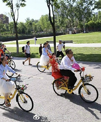 90�󻷱����� 50��С�Ƴ�Ȣ����ؼ�