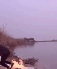 Ϊ�˻�ɴ��Ч�� ���������Ϸ���һ�ѻ�