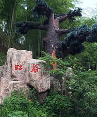 彩虹谷 璞·宿 约起